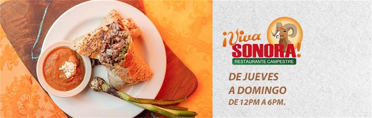 Viva Sonora